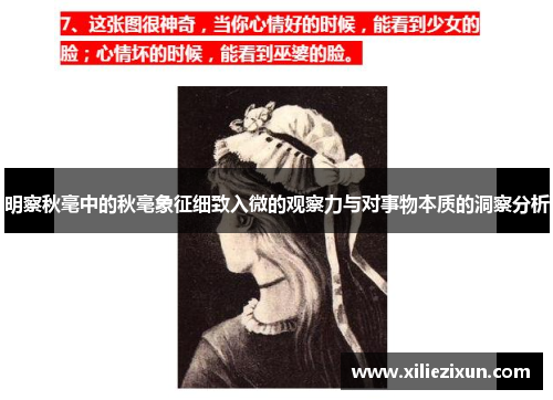 明察秋毫中的秋毫象征细致入微的观察力与对事物本质的洞察分析 明察秋毫中的秋毫象征细致入微的观察力与对事物本质的洞察分析